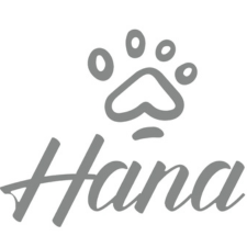 Hana Logo