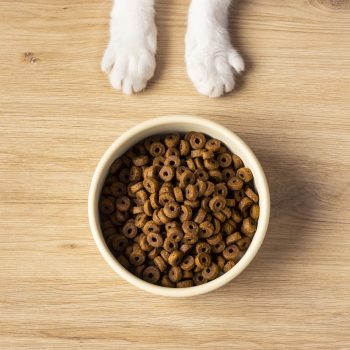 variedade-de-alimentos-para-animais-de-estimacao